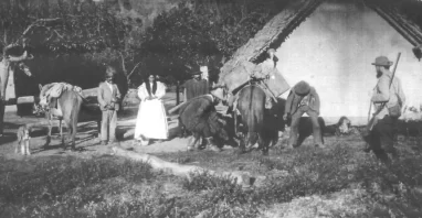 De carnavales tafinistos