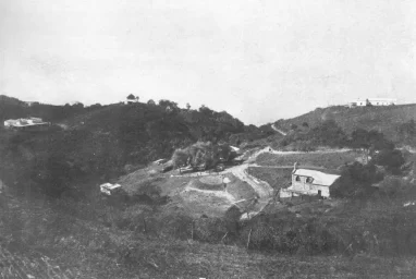 Un tren de montaña