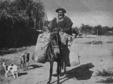 Tafí del Valle remoto