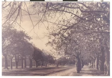 La primavera corregida