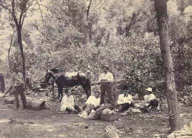 Yerba Buena y el cerro