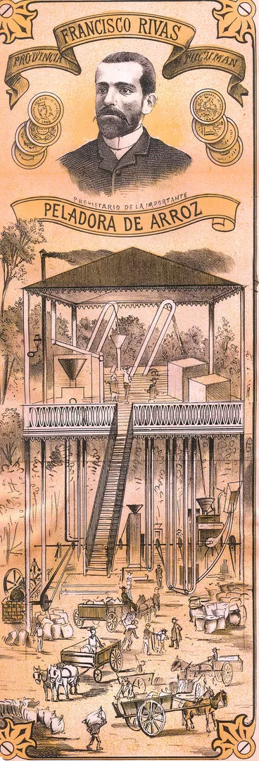 Actividad arrocera en 1872