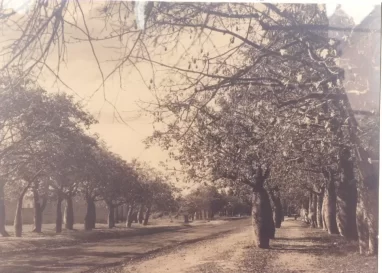 Francés en Tucumán en 1910