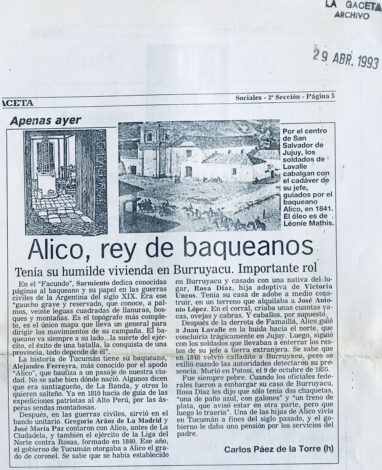 Alico, rey de baqueanos