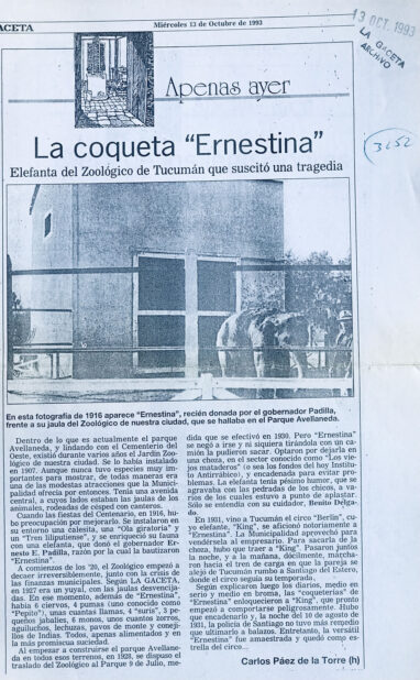 La coqueta “Ernestina”